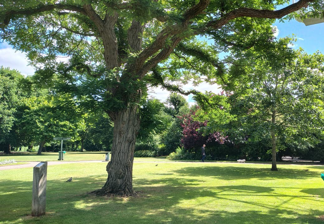Finding my rhythm: life in the uk as an international student